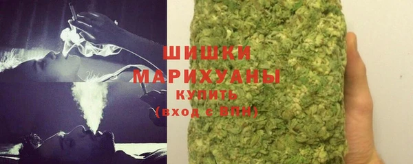 PSILOCYBIN Абаза