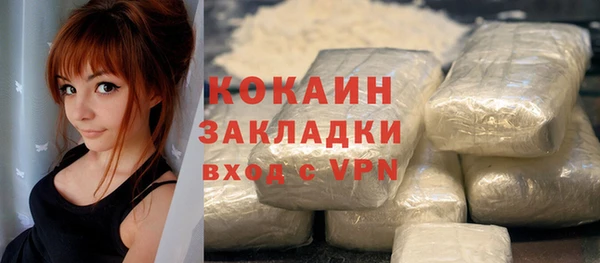 PSILOCYBIN Абаза