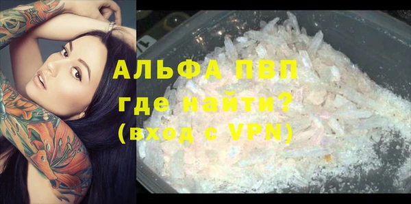 PSILOCYBIN Абаза