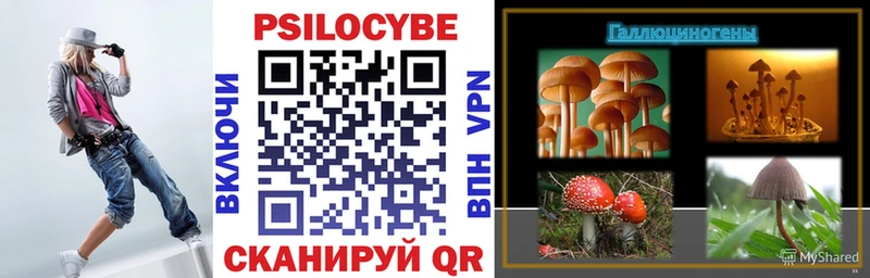 Галлюциногенные грибы Magic Shrooms  Прокопьевск 